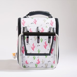 Cubicool simple standard cactus