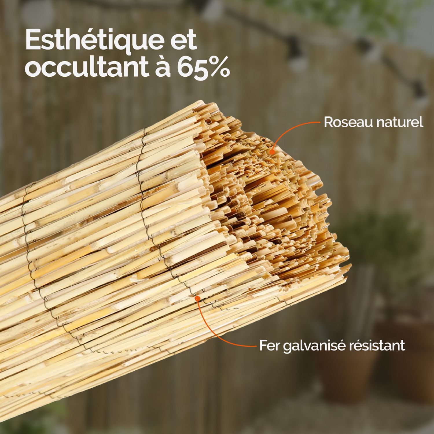 Canisse En Roseau Naturel WERKA PRO - 2 X 5 M