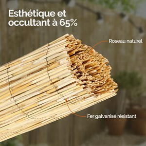 Canisse en roseau fendu 2 x 5 m