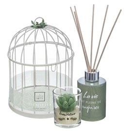 Bougie eucalyptus et diffuseur cage déco