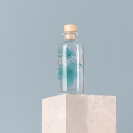 Fleur immergée hortensia bleu h12