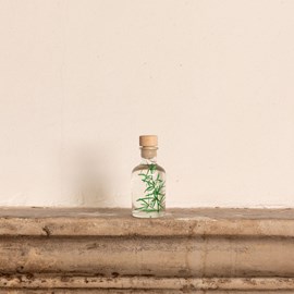 Plante immergée asparagus sprengeri h10