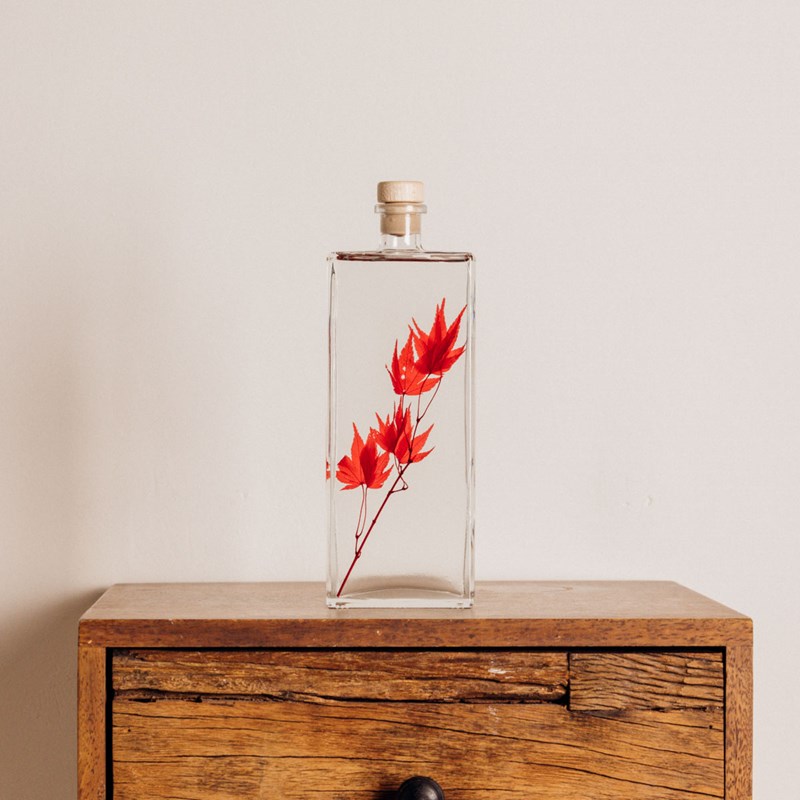 Théophile berthon 1867 - Plante immergée erable rouge h26