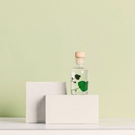 Plante immergée lierre helix vert h10