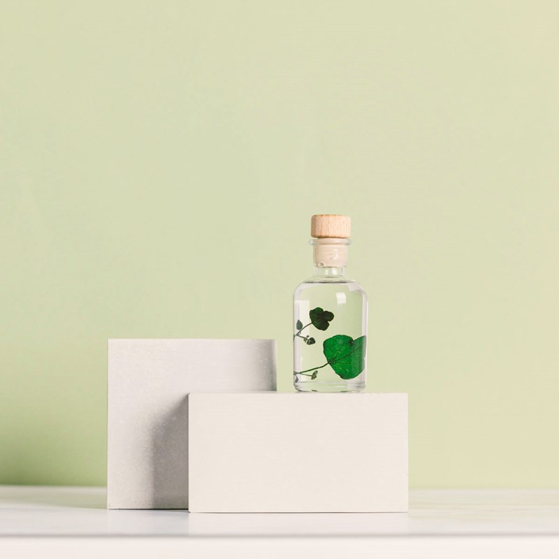 Théophile berthon 1867 - Plante immergée lierre helix vert h10