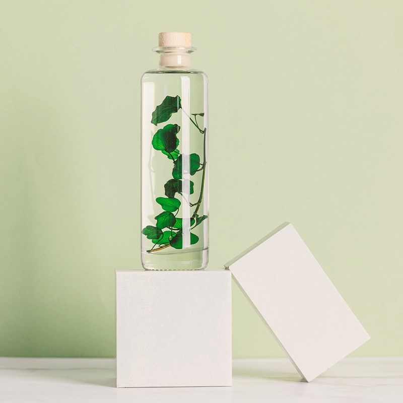 Théophile berthon 1867 - Plante immergée lierre helix vert h21