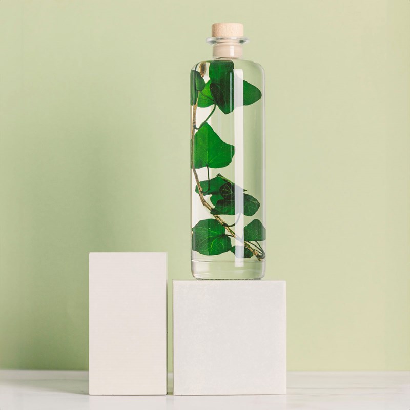 Théophile berthon 1867 - Plante immergée lierre helix vert h23