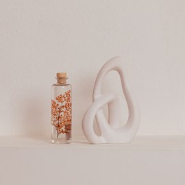 Plante immergée luthi terracotta h21