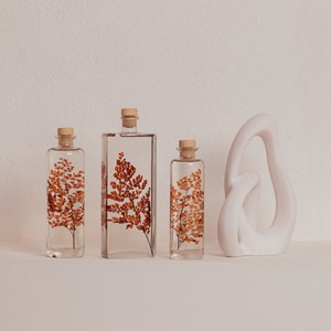 Plante immergée luthi terracotta h23