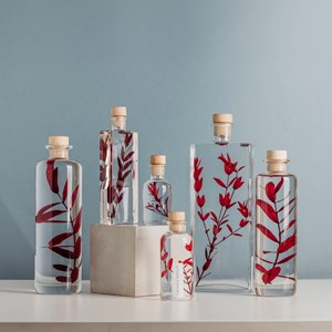 Plante immergée parvifolia rouge h17