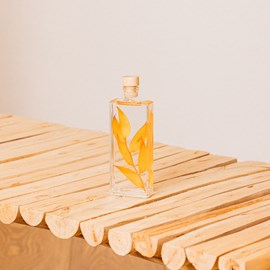 Plante immergée ruscus automnal h17