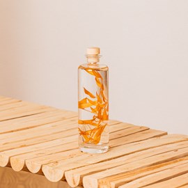 Plante immergée ruscus automnal h23