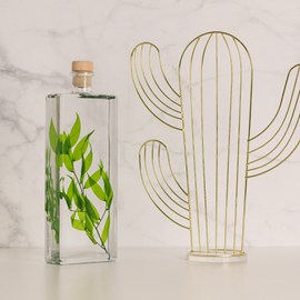 Plante immergée ruscus italien h26