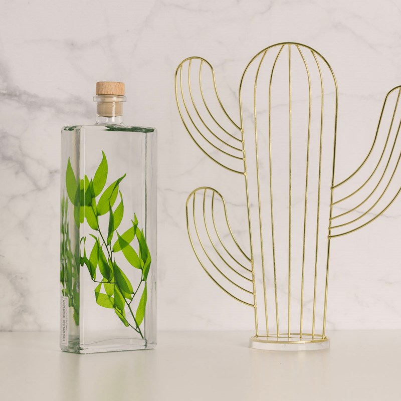 Plante immergée ruscus italien h26