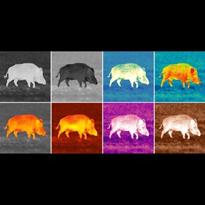 Monoculaire thermique pulsar axion xg35 compact