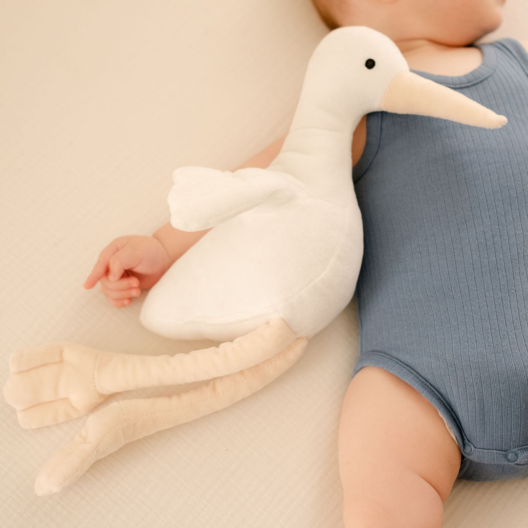 Peluche personnalisée : créez votre propre ami doux Peluche personnalisée : créez votre propre ami doux