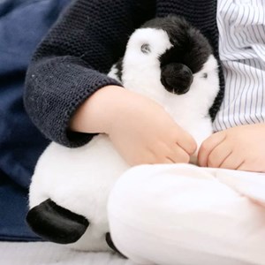 Peluche pingouin raymond