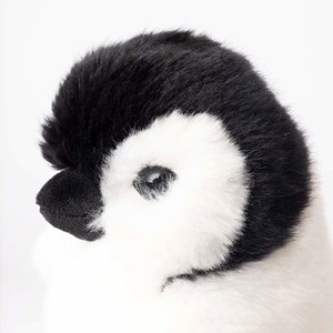 Peluche pingouin raymond