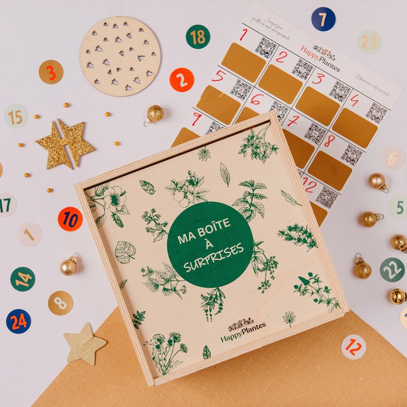 Calendrier de l'Avent 2024 tisanes