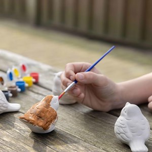 Kit de peinture oiseaux