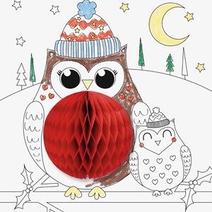 Kit de coloriage 3d - animaux de l'hiver