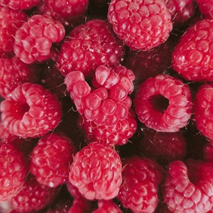 Rubus idaeus malling promise - 4