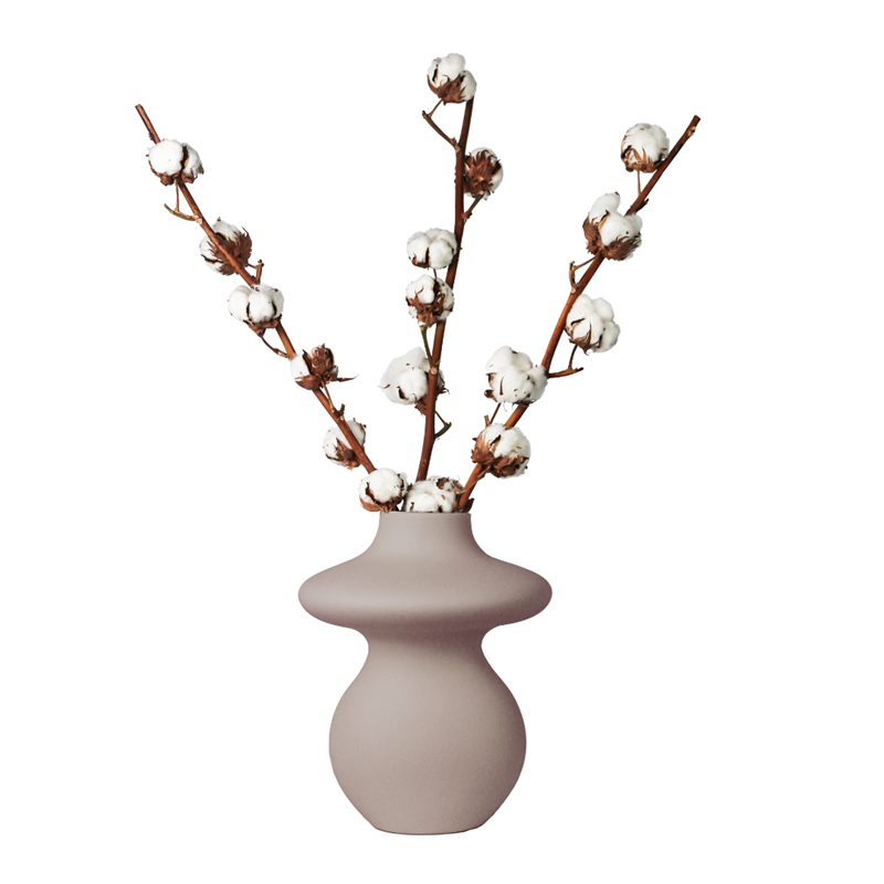 Branche de coton - 3