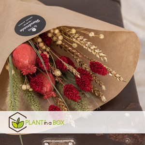 Winter glamour blossom bouquet