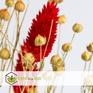 Winter glamour blossom bouquet