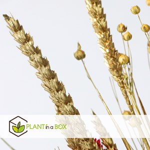 Winter glamour blossom bouquet