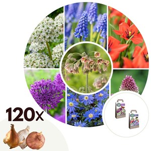 Abeille et papillon heureux - 120