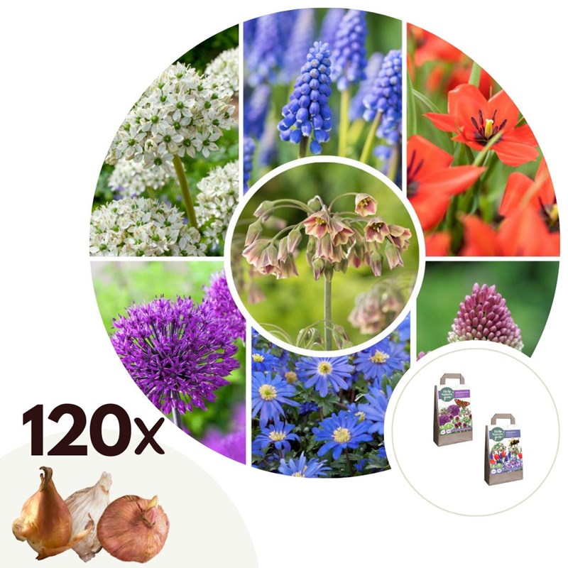 Abeille et papillon heureux - 120