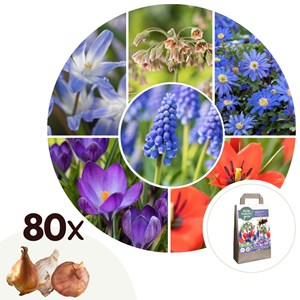 Happy bee - 80