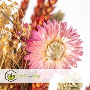 Bouquet elégance rustique