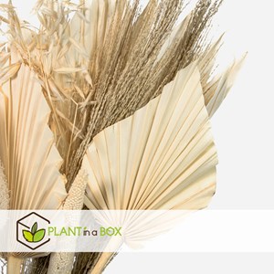 Bouquet rêve scandinave