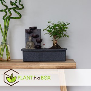 Bonsaï waterfall set buddha - 2