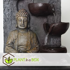 Bonsaï waterfall set buddha - 2