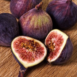 Figuier xl ficus carica sur tige - 2