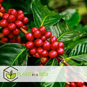 Mélange dintérieur tendance - 4