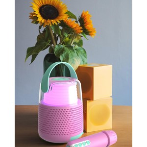 Enceinte & karaoké ks-80 - rose