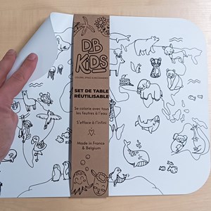 Set de table réutilisable - map monde