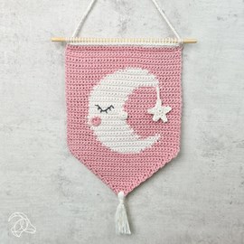 Kit de crochet amigurumi diy   s