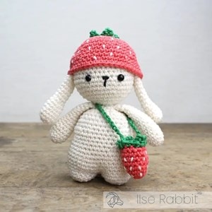 Kit amigurumi hardicraft ilse rabbit - k