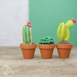 Amigurumi cactus - kit de crochet