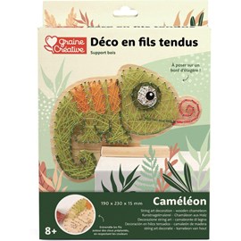 Deco en fils tendus cameleon