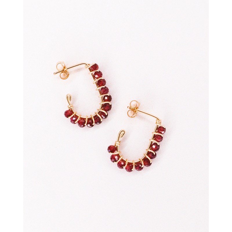 Puces pierres naissance - janvier