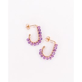 Puces pierres naissance - février