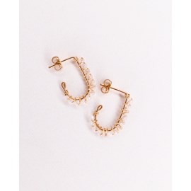 Puces pierres naissance - avril