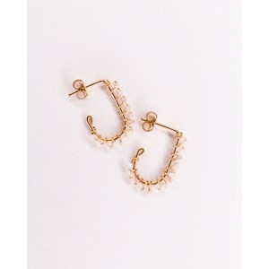 Puces pierres naissance - avril