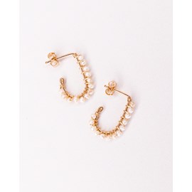 Puces pierres naissance - juin